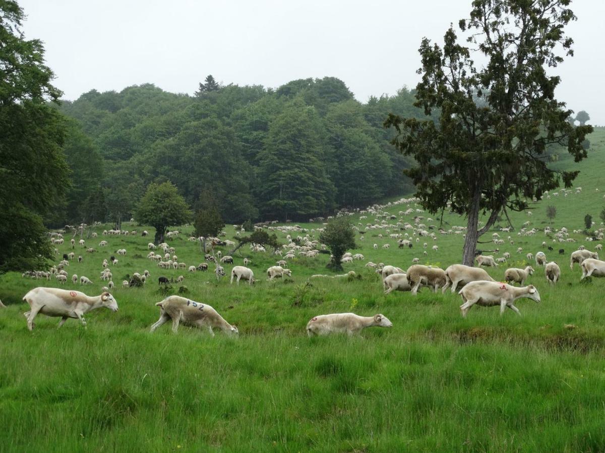 Du Cote De Lacoume Anla Exteriér fotografie