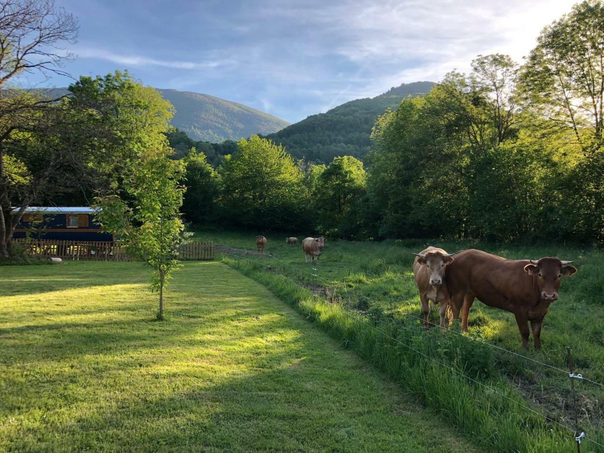 Du Cote De Lacoume Anla Exteriér fotografie